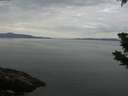 ./images/koeye/fitz-hugh/20190709/fitz-hugh20190709_122501.jpg