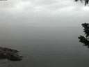 ./images/koeye/fitz-hugh/20190710/fitz-hugh20190710_045001.jpg