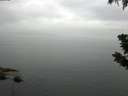 ./images/koeye/fitz-hugh/20190710/fitz-hugh20190710_065502.jpg