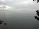 ./images/koeye/fitz-hugh/20190710/fitz-hugh20190710_081501.jpg