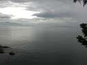 ./images/koeye/fitz-hugh/20190710/fitz-hugh20190710_082501.jpg