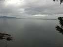 ./images/koeye/fitz-hugh/20190710/fitz-hugh20190710_093502.jpg