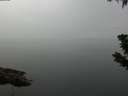 ./images/koeye/fitz-hugh/20190710/fitz-hugh20190710_111001.jpg