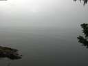 ./images/koeye/fitz-hugh/20190710/fitz-hugh20190710_111501.jpg