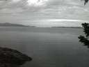 ./images/koeye/fitz-hugh/20190713/fitz-hugh20190713_044502.jpg