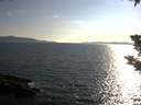 ./images/koeye/fitz-hugh/20190714/fitz-hugh20190714_184501.jpg