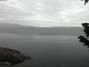 ./images/koeye/fitz-hugh/20190715/fitz-hugh20190715_044002.jpg