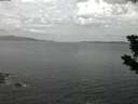 ./images/koeye/fitz-hugh/20190721/fitz-hugh20190721_045002.jpg