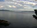 ./images/koeye/fitz-hugh/20190721/fitz-hugh20190721_075502.jpg