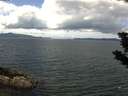 ./images/koeye/fitz-hugh/20190724/fitz-hugh20190724_115001.jpg