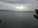 ./images/koeye/fitz-hugh/20190724/fitz-hugh20190724_183501.jpg