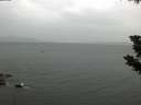 ./images/koeye/fitz-hugh/20190724/fitz-hugh20190724_195002.jpg