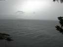 ./images/koeye/fitz-hugh/20190724/fitz-hugh20190724_214001.jpg