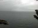 ./images/koeye/fitz-hugh/20190725/fitz-hugh20190725_090501.jpg