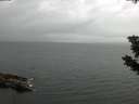 ./images/koeye/fitz-hugh/20190725/fitz-hugh20190725_091501.jpg