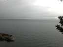 ./images/koeye/fitz-hugh/20190725/fitz-hugh20190725_094501.jpg