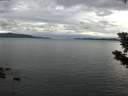 ./images/koeye/fitz-hugh/20190725/fitz-hugh20190725_184001.jpg