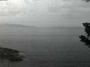./images/koeye/fitz-hugh/20190726/fitz-hugh20190726_051001.jpg