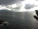 ./images/koeye/fitz-hugh/20190726/fitz-hugh20190726_182001.jpg