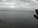./images/koeye/fitz-hugh/20190727/fitz-hugh20190727_221501.jpg