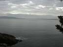 ./images/koeye/fitz-hugh/20190728/fitz-hugh20190728_064501.jpg