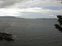 ./images/koeye/fitz-hugh/20190728/fitz-hugh20190728_134501.jpg