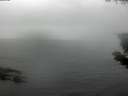 ./images/koeye/fitz-hugh/20190730/fitz-hugh20190730_145501.jpg
