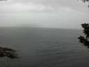 ./images/koeye/fitz-hugh/20190730/fitz-hugh20190730_151502.jpg
