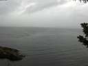 ./images/koeye/fitz-hugh/20190730/fitz-hugh20190730_165501.jpg