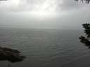 ./images/koeye/fitz-hugh/20190730/fitz-hugh20190730_171501.jpg