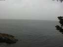 ./images/koeye/fitz-hugh/20190730/fitz-hugh20190730_180501.jpg