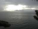 ./images/koeye/fitz-hugh/20190730/fitz-hugh20190730_184502.jpg