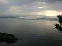 ./images/koeye/fitz-hugh/20190731/fitz-hugh20190731_180501.jpg