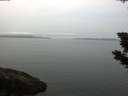 ./images/koeye/fitz-hugh/20190801/fitz-hugh20190801_085502.jpg