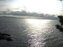 ./images/koeye/fitz-hugh/20190802/fitz-hugh20190802_173501.jpg