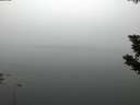 ./images/koeye/fitz-hugh/20190805/fitz-hugh20190805_054002.jpg