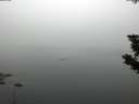 ./images/koeye/fitz-hugh/20190805/fitz-hugh20190805_061001.jpg