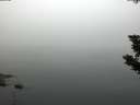 ./images/koeye/fitz-hugh/20190805/fitz-hugh20190805_062501.jpg
