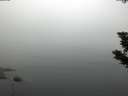 ./images/koeye/fitz-hugh/20190805/fitz-hugh20190805_063501.jpg