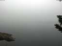 ./images/koeye/fitz-hugh/20190805/fitz-hugh20190805_074002.jpg