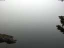 ./images/koeye/fitz-hugh/20190805/fitz-hugh20190805_075001.jpg