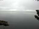 ./images/koeye/fitz-hugh/20190806/fitz-hugh20190806_082502.jpg