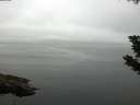 ./images/koeye/fitz-hugh/20190806/fitz-hugh20190806_085501.jpg