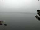./images/koeye/fitz-hugh/20190807/fitz-hugh20190807_054001.jpg