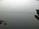 ./images/koeye/fitz-hugh/20190807/fitz-hugh20190807_054501.jpg