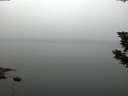 ./images/koeye/fitz-hugh/20190807/fitz-hugh20190807_055001.jpg