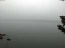 ./images/koeye/fitz-hugh/20190807/fitz-hugh20190807_060001.jpg