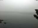 ./images/koeye/fitz-hugh/20190807/fitz-hugh20190807_063501.jpg