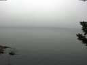 ./images/koeye/fitz-hugh/20190807/fitz-hugh20190807_073502.jpg