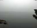 ./images/koeye/fitz-hugh/20190807/fitz-hugh20190807_082502.jpg